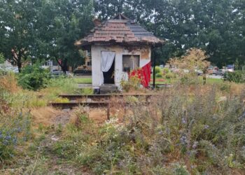 Intervenții ale Poliției Locale în cazul persoanelor fără adăpost