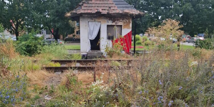Intervenții ale Poliției Locale în cazul persoanelor fără adăpost