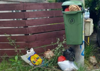 Pitești: NU depozitați deșeurile  menajere, generate în casă, în/lângă coșurile stradale!​
