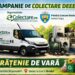 Bradu: când se colectează deșeurile în această săptămână