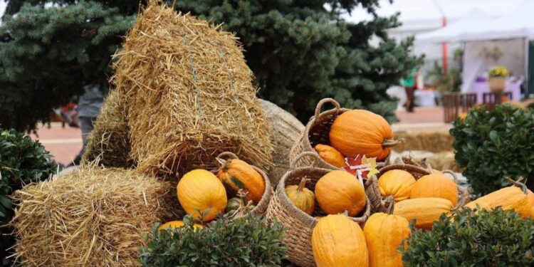 Ediție aniversară „Toamna piteșteană”! Piteștenii se pregătesc pentru 18 zile de tradiție și produse de sezon