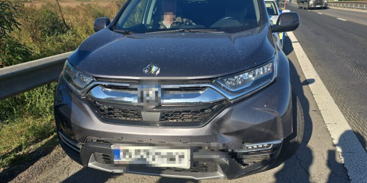 Accident pe A1, în Argeș: un autoturism a lovit un porc