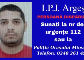 Bărbat de 32 de ani, plecat voluntar din orașul Mioveni