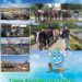 „Școala altfel” și „Săptămâna verde” – „Porți deschise” la Apă Canal 2000 S.A. Pitești