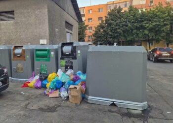88 de sancțiuni contravenționale și 2 suspendări de activitate, în urma controalelor Poliției Locale Pitești
