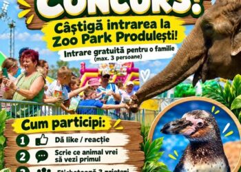 Zoo Park ajunge la Produlești! Copiii vor putea hrăni elefanții până pe 25 octombrie