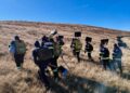 Argeș: Incendiul izbucnit într-o pădure de pe muntele Drăghina a fost localizat; se intervine pentru lichidare