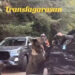 Turist atacat de o ursoaică pe Transfăgărășan, după ce a încercat să o hrănească din mașină